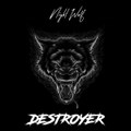 DESTROYER