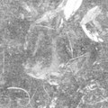 "1" (ESKER04)