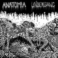 Split With UNDERGANG