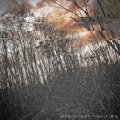 Traces of Decay