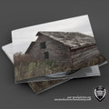 Spreadind the Underground(War Productions compilation)