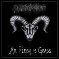 All Flesh Is Grass