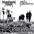 BruteForce Attack & Painful Defloration (2007, Split CD)