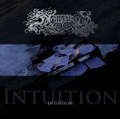 Intuition