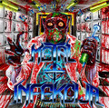 METAL INFEKCIJA