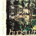 Aarhus V / Rough Dreamer (demo)