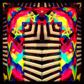 Skylab