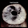 Fungal Connectivity