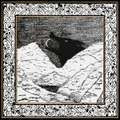 Cataclysmic Eminences (EP)