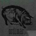 Live @ Ordinär 7.3.19
