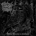 Morbid Affection to Darkness