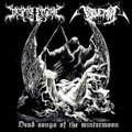 Dead songs of the wintermoon