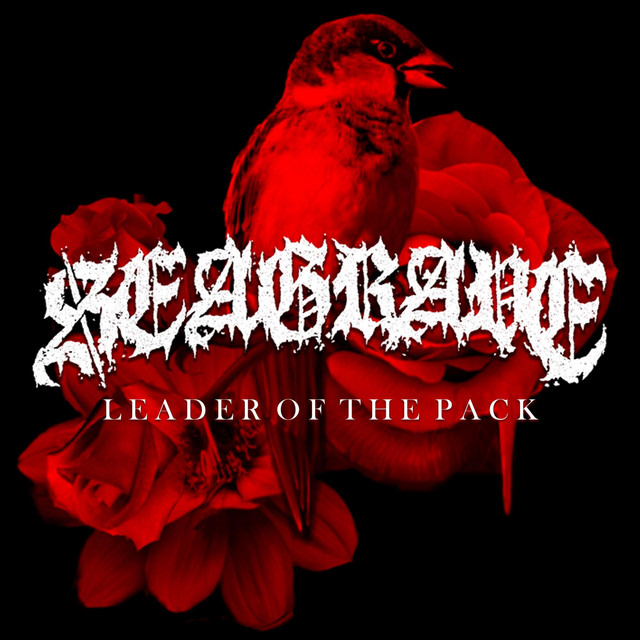 Leader Of The Pack