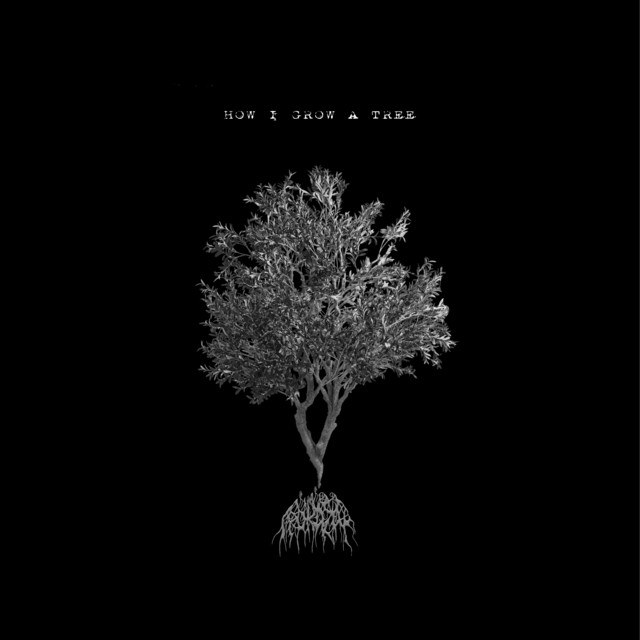 How I Grow a Tree