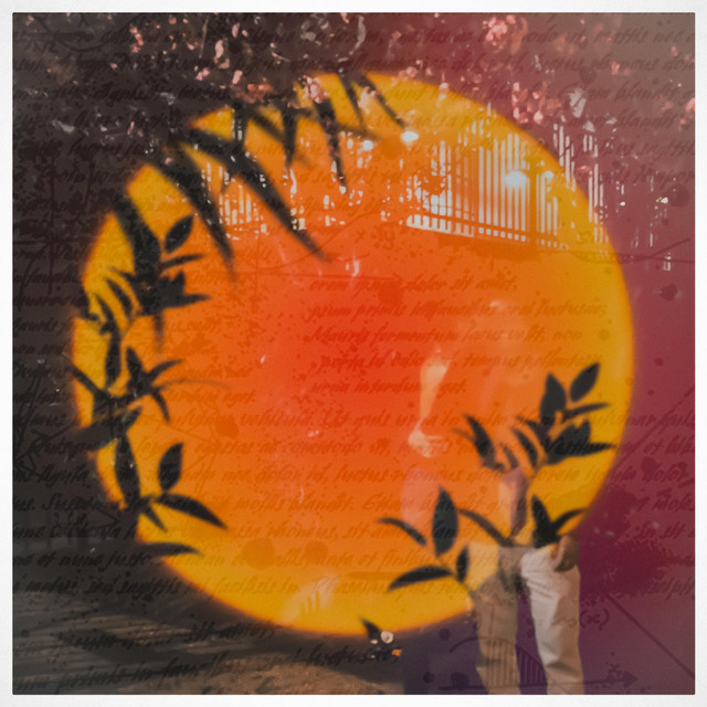 Letters to the City
