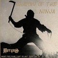 Shadow Of The Ninja