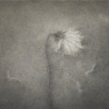 Dying Away In The Deep Fall (Instrumental Edition)