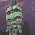Postscripts