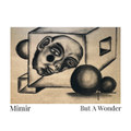 But a Wonder