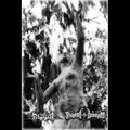 Algor / Ruin of Hedonism - Split