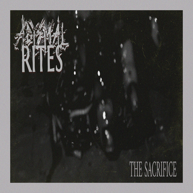 The Sacrifice