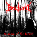 Wisdom Of The Forest