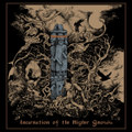 Incarnation of the Higher Gnosis