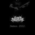 Demos 2022