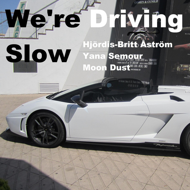 We're Driving Slow (Hjördis-Britt Åström & Yana Semour)