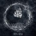 Stellar Winds