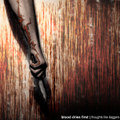 Thoughts Like Daggers