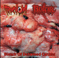Stench Of Deformed Carcass (tracks from split with Bolor)