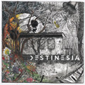 Destinesia
