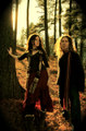 Arborea