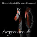 Through Soreful Harmony Demanded