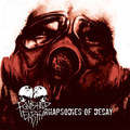 RHAPSODIES OF DECAY