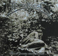 As all bueauty starts to fade... (10 inch)