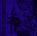 Rot Prophet