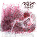 Nightmares in Damask