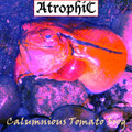 Calumnious Tomato Frog
