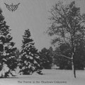 The Forest in the Shadows Unknown