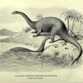 Brontosaurus