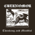 Thinking and Mindful (Demo)