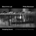 Sculpting Sound - A Tribute to Andrei Tarkovsky