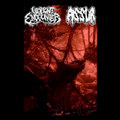 split w/ Violent Encounter