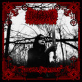 Darkwoods Enchantment