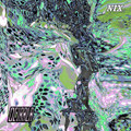 NIX006: My Friend Was Eaten by a Modular Rack EP