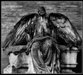 Under Mournful Horizons [Rage in Eden.Digipack CD]