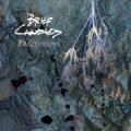 Provisions-single
