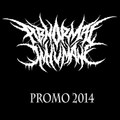 Promo 2014